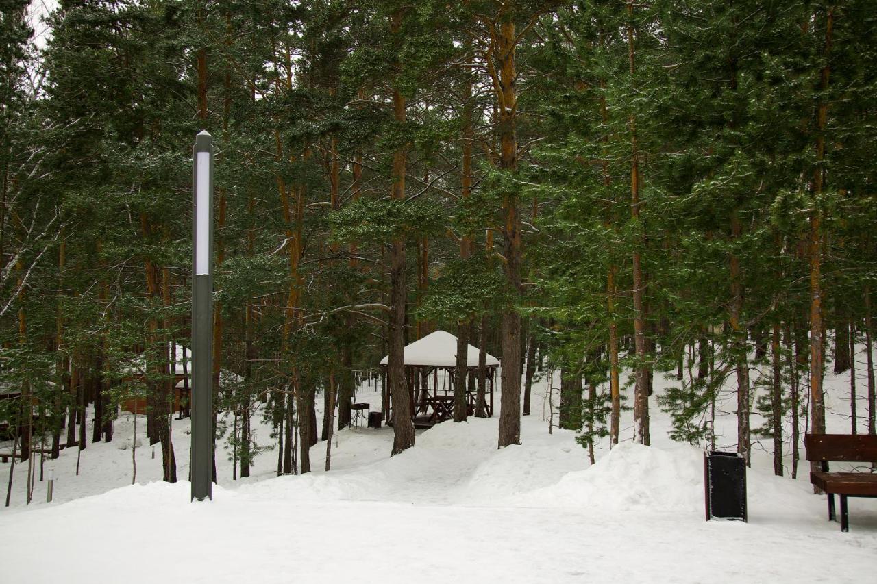 Park House Hotell Barmashino Exteriör bild